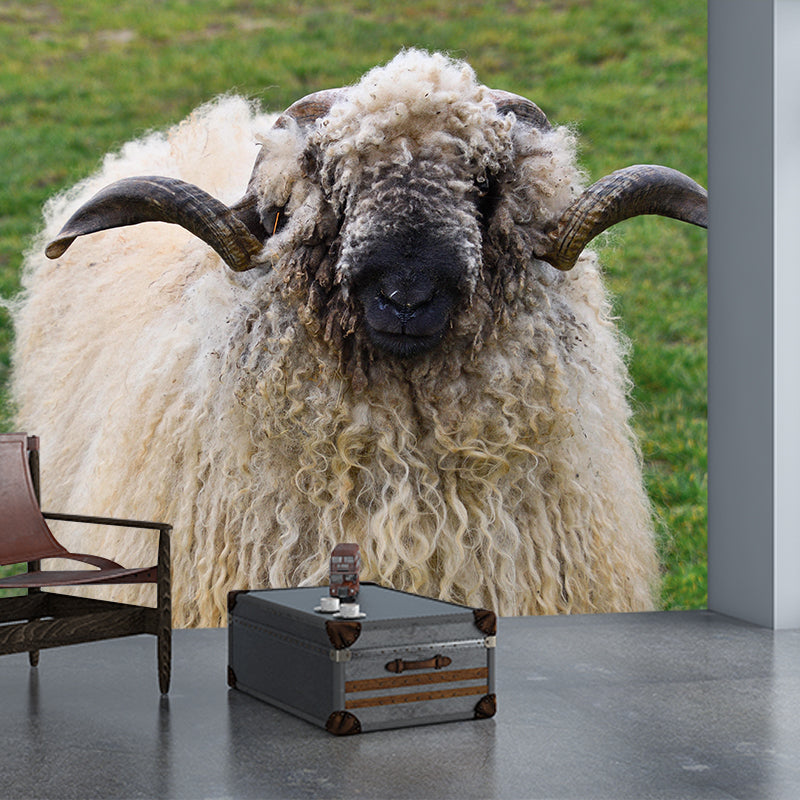 Lovely Animal Sheep Mural Decal Customized Contemporary Style Wall Covering