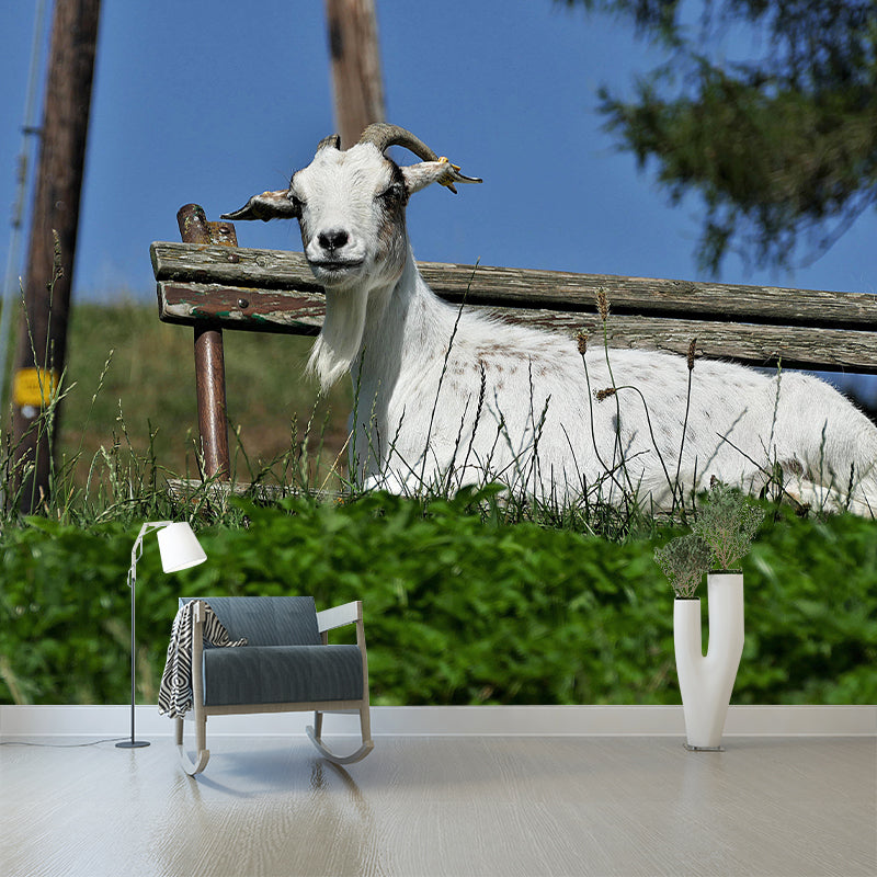 Customized Goat Wall Mural Wallpaper Horizontal Photography for Sitting Room