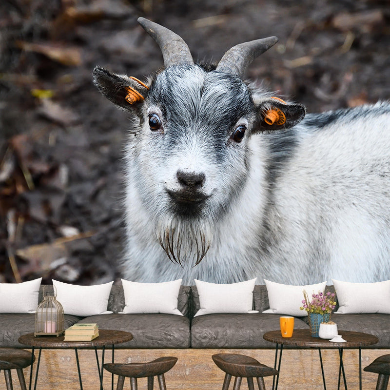 Customized Goat Wall Mural Wallpaper Horizontal Photography for Sitting Room