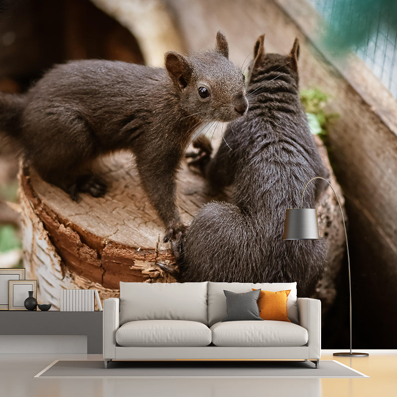 Customized Squirrel Wall Mural Wallpaper Horizontal Photography for Sitting Room