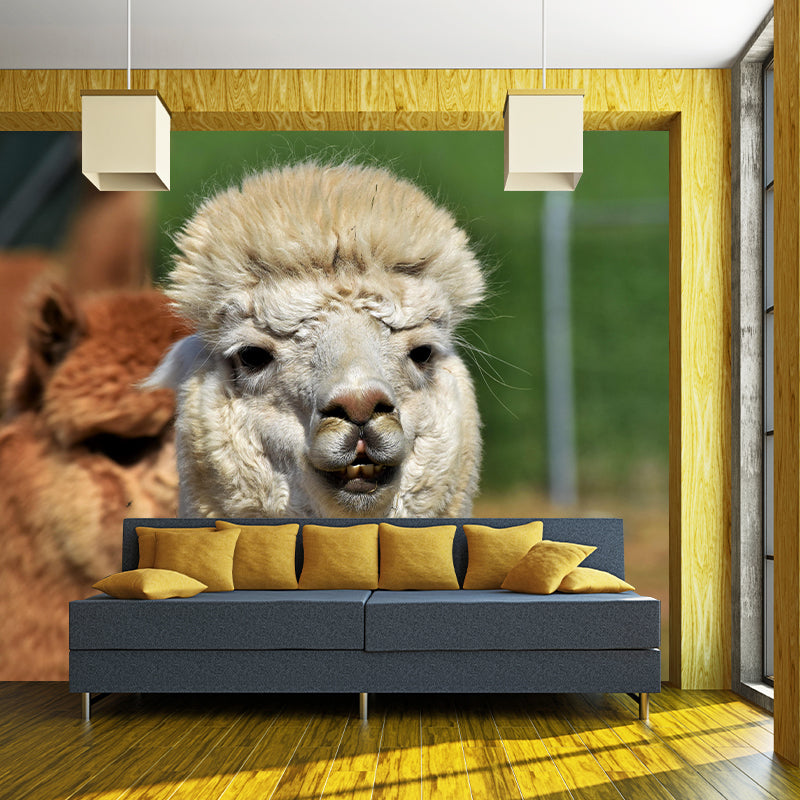Customized Alpaca Wall Mural Wallpaper Horizontal Photography for Sitting Room