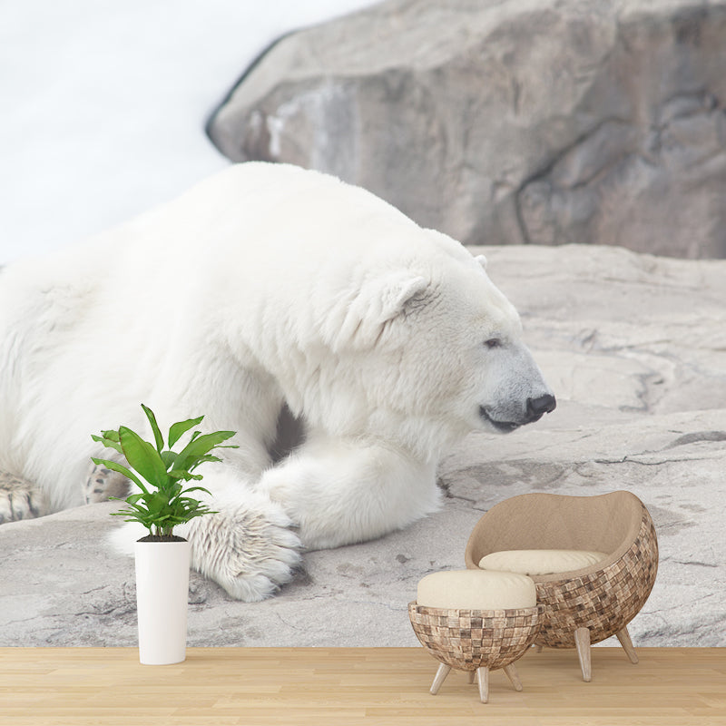 Polar Bear Mural Wallpaper for Accent Wall, Personalized Size Available