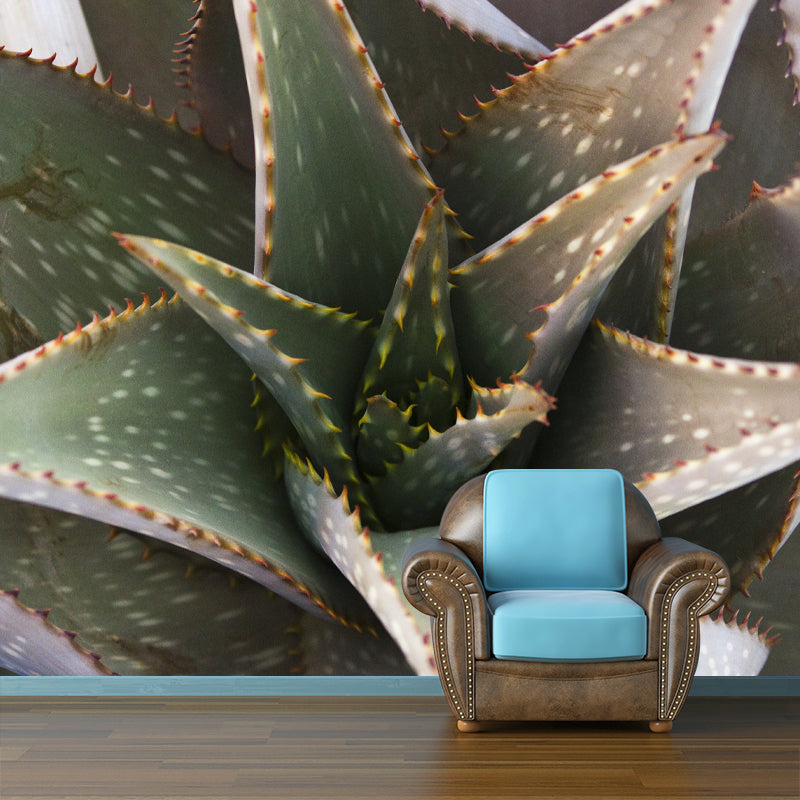 Aloe Plant Mural Wallpaper for Reading Room Bedroom, Custom Size Available