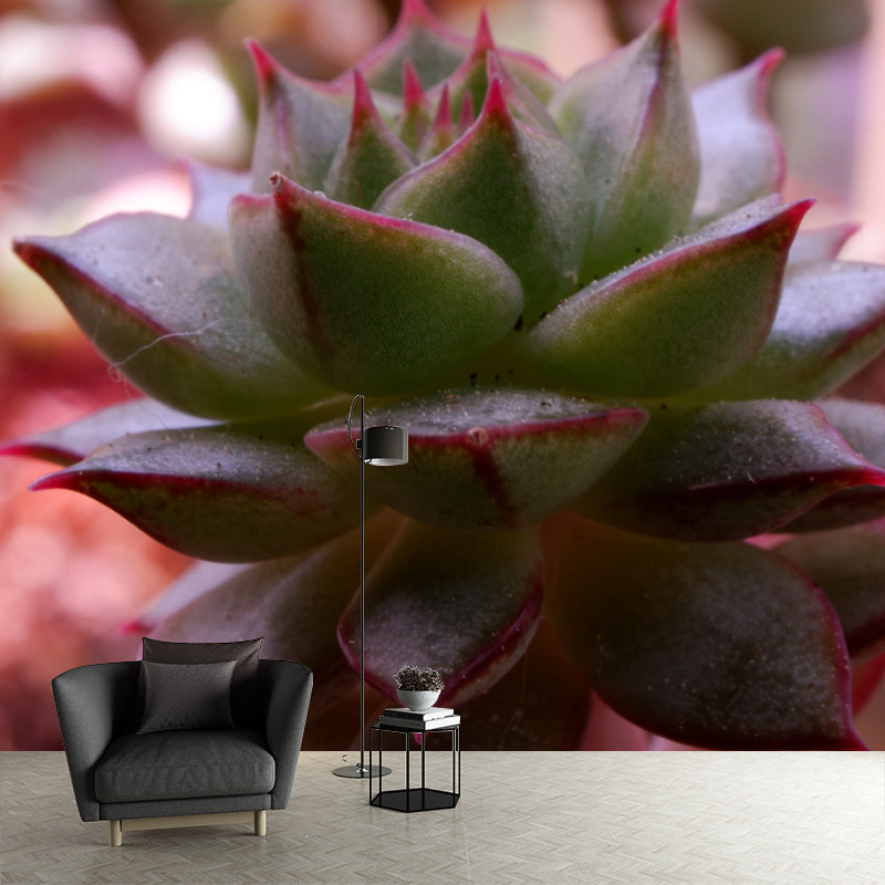 Aloe Plant Mural Wallpaper for Reading Room Bedroom, Custom Size Available