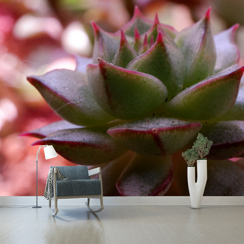 Aloe Plant Mural Wallpaper for Reading Room Bedroom, Custom Size Available