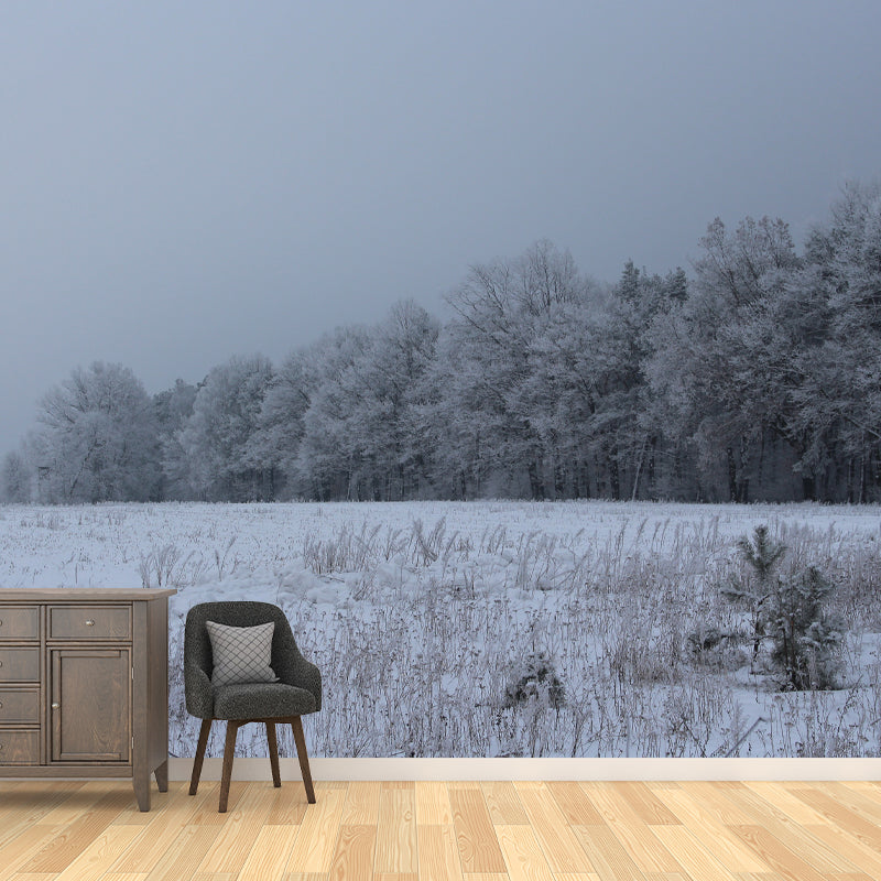 Forest Mural for Guest Room, Water Resistant Wall Decor in Light Color