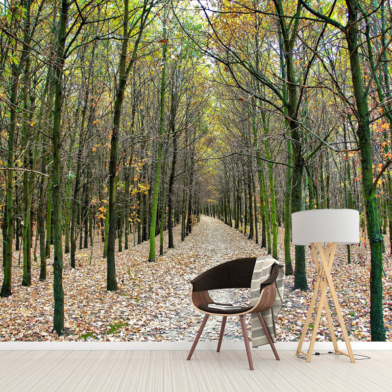 Forest Trees Wall Covering for Dining Room Wall Decor, Moisture Resistant