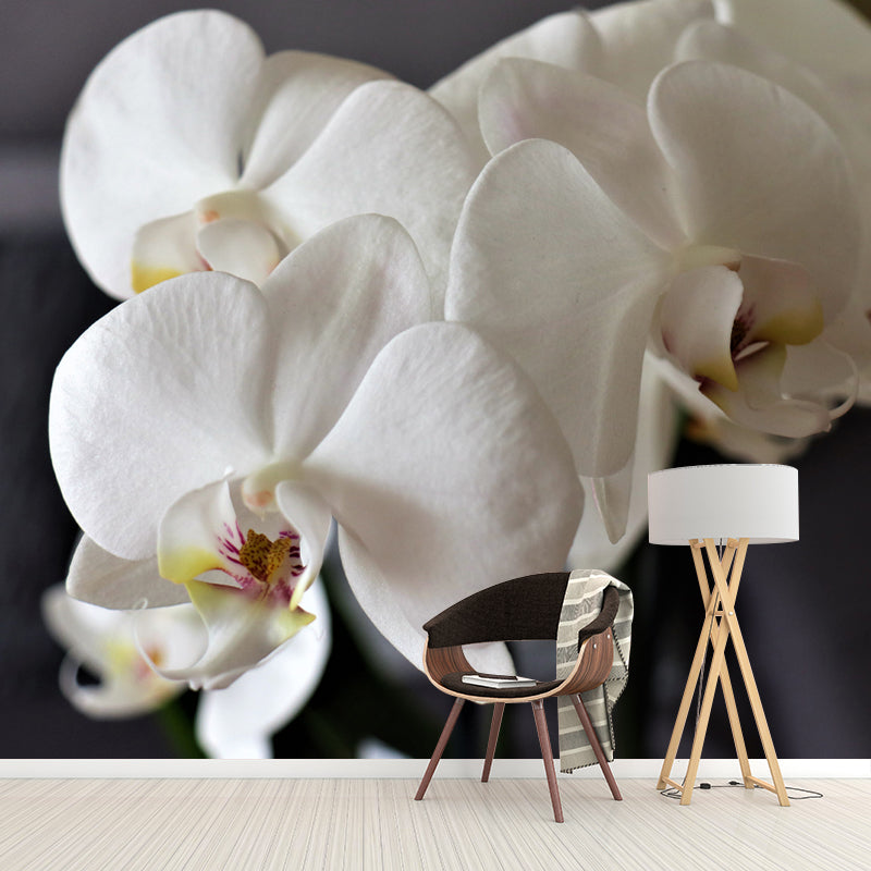 Girl's Bedroom Orchid Mural Personalized Size Minimalist Wall Decor, Personalized Size