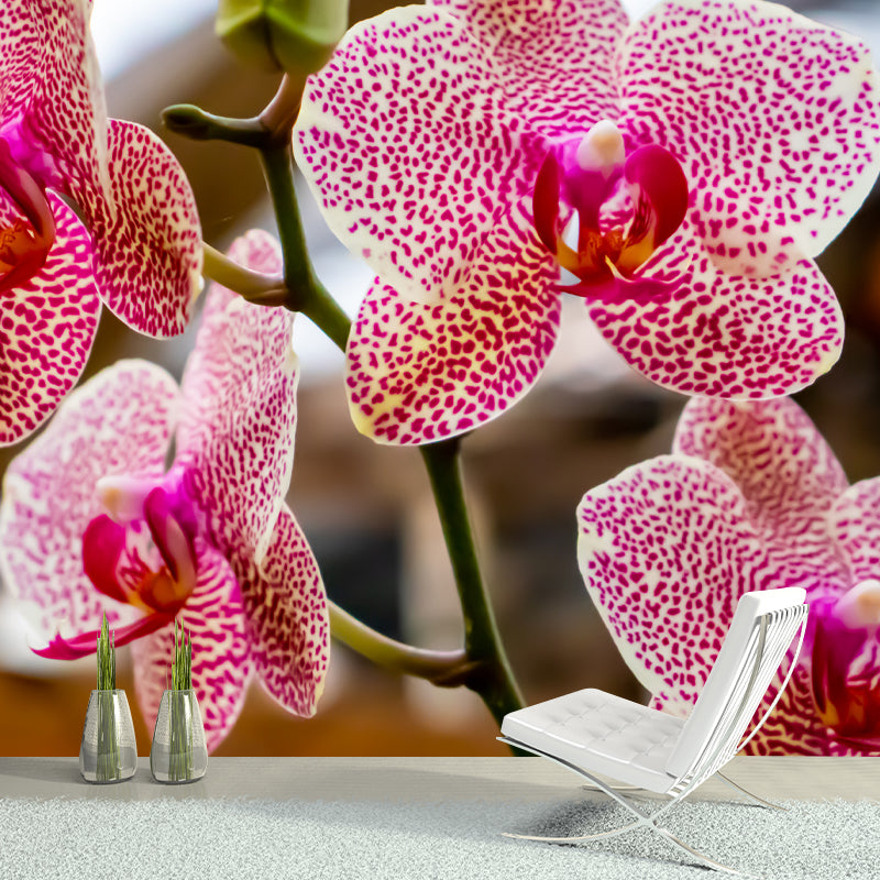 Girl's Bedroom Orchid Mural Personalized Size Minimalist Wall Decor, Personalized Size