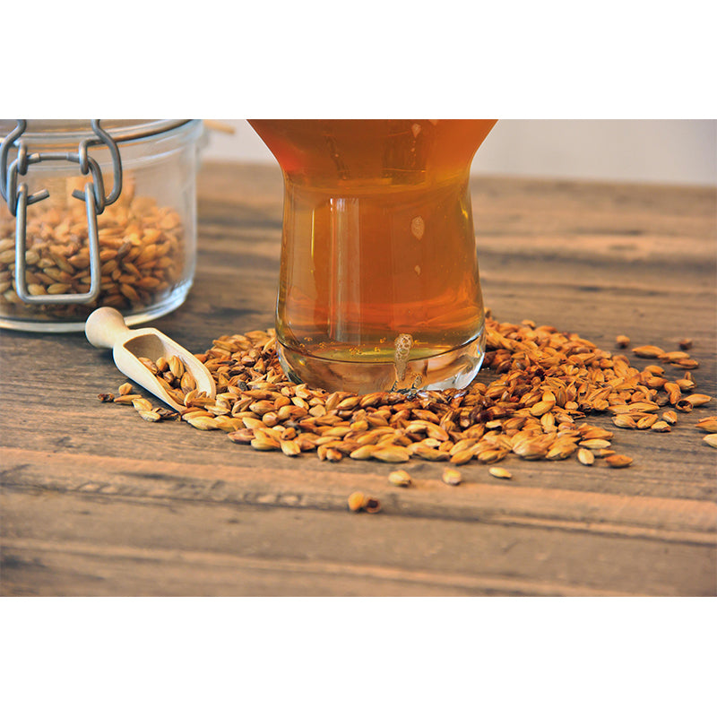 Horizontal Photography Mural Wallpaper Eco-friendly Wall Covering for Commercial Use