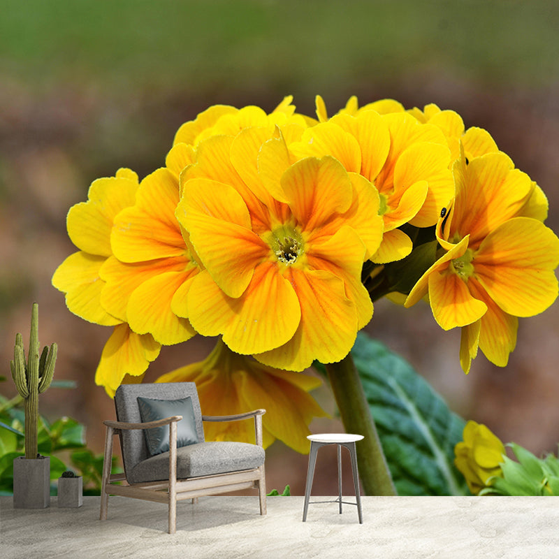 Customized Primrose Mural Wall Covering Eco-friendly Wallpaper for Bedroom