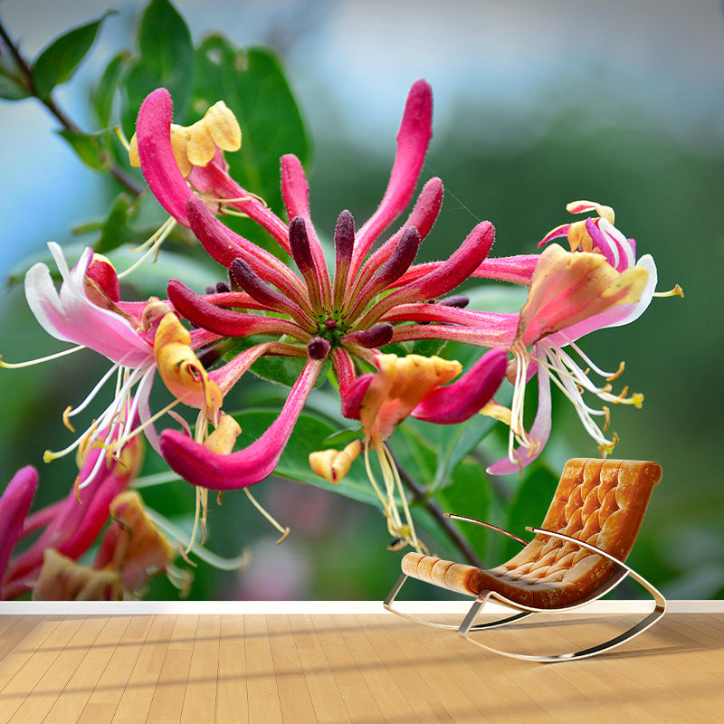 Minimalism Style Honeysuckle Wall Mural Decorative Photography for Living Room