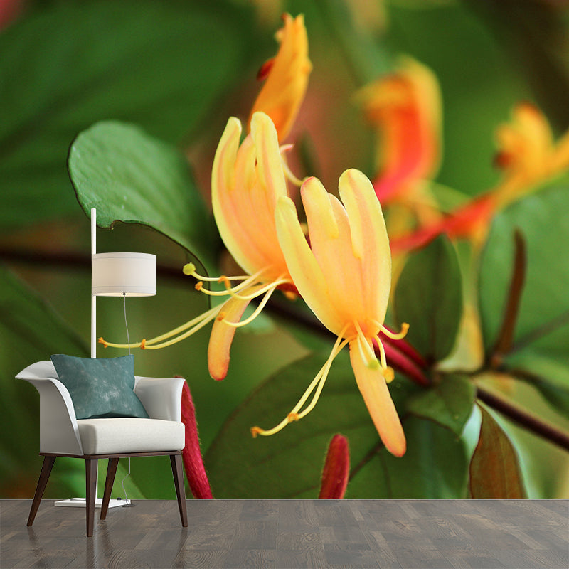 Minimalism Style Honeysuckle Wall Mural Decorative Photography for Living Room