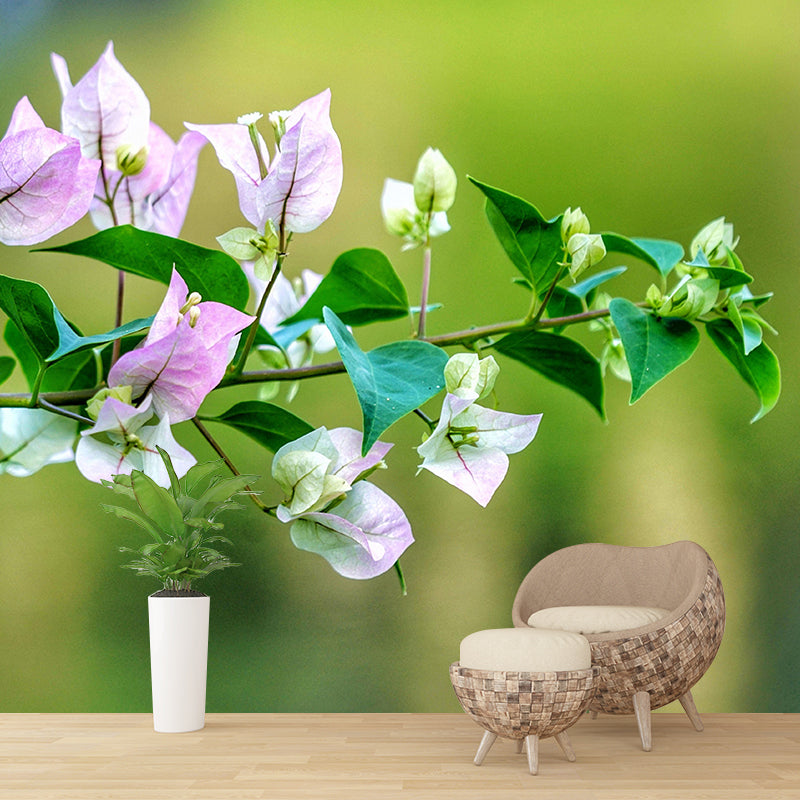 Minimalism Style Bougainvillea Wall Mural Decorative Photography for Living Room
