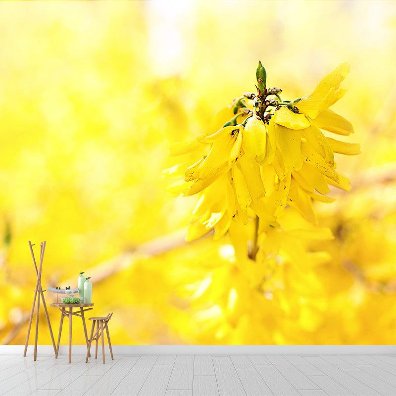 Customized Forsythia Mural Wall Covering Eco-friendly Wallpaper for Bedroom