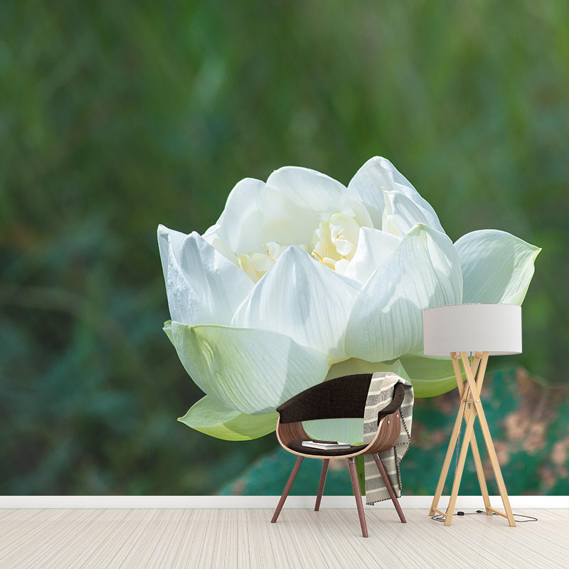 Customized Lotus Mural Wall Covering Eco-friendly Wallpaper for Bedroom