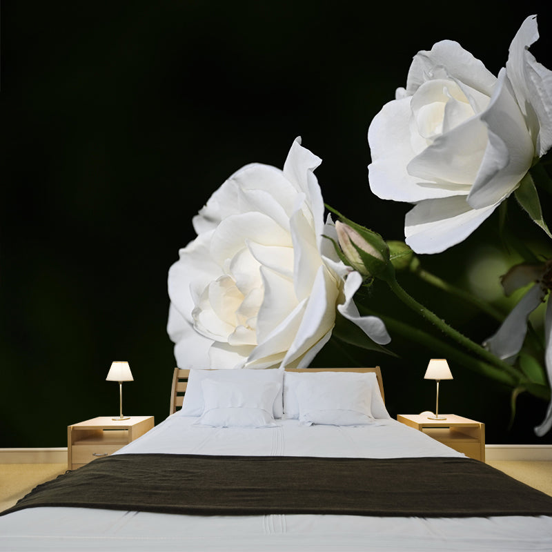 Minimalism Style Roses Wall Mural Decorative Photography for Living Room