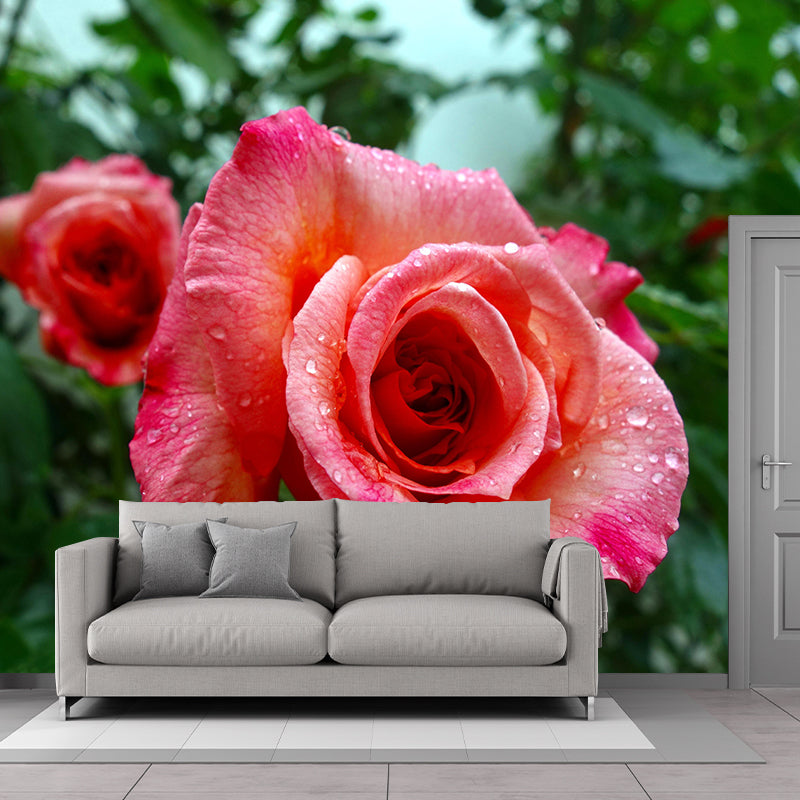 Minimalism Style Roses Wall Mural Decorative Photography for Living Room