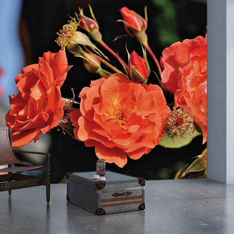 Minimalism Style Roses Wall Mural Decorative Photography for Living Room