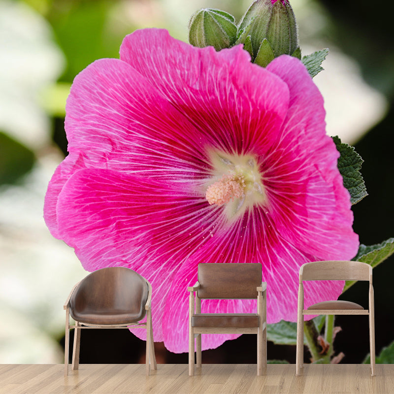 Customized Hollyhock Mural Wall Covering Eco-friendly Wallpaper for Bedroom