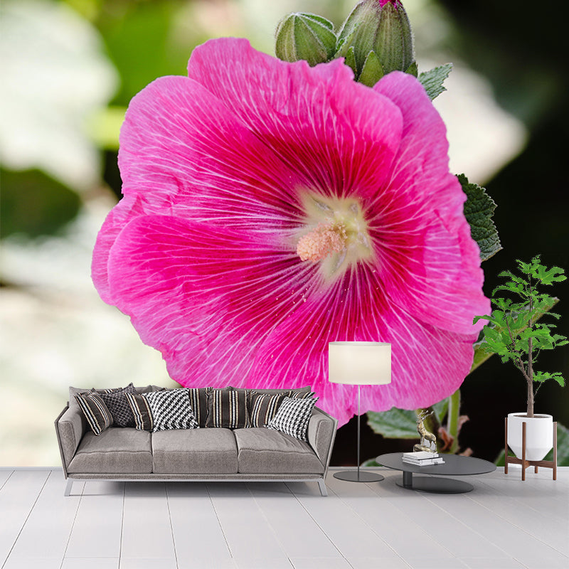 Customized Hollyhock Mural Wall Covering Eco-friendly Wallpaper for Bedroom