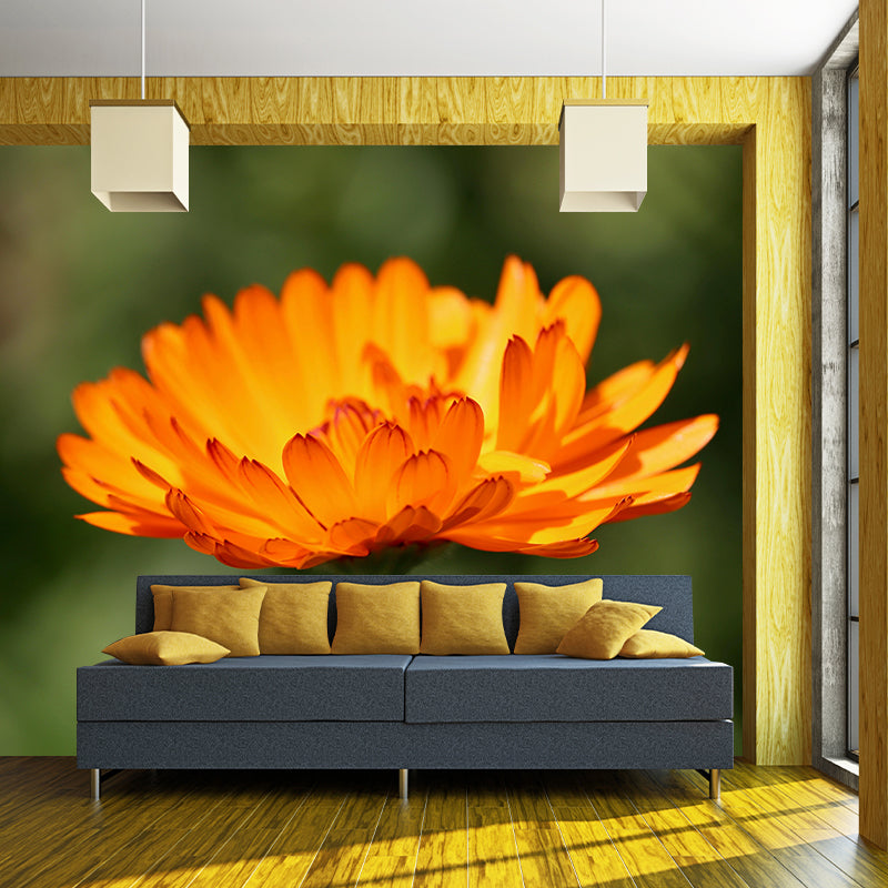 Customized Marigold Mural Wall Covering Eco-friendly Wallpaper for Bedroom