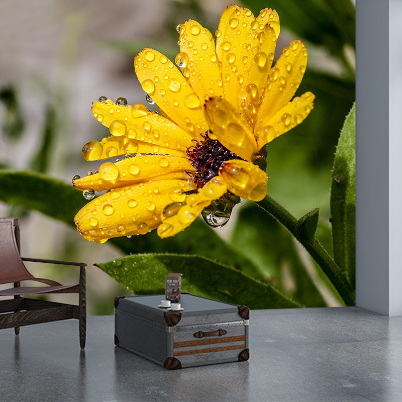 Customized Marigold Mural Wall Covering Eco-friendly Wallpaper for Bedroom