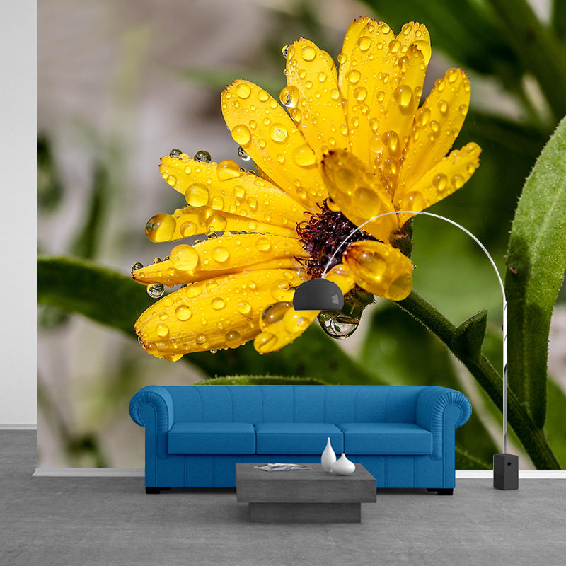 Customized Marigold Mural Wall Covering Eco-friendly Wallpaper for Bedroom