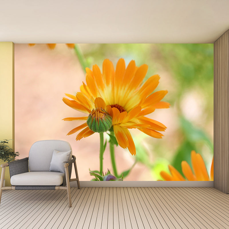 Customized Marigold Mural Wall Covering Eco-friendly Wallpaper for Bedroom