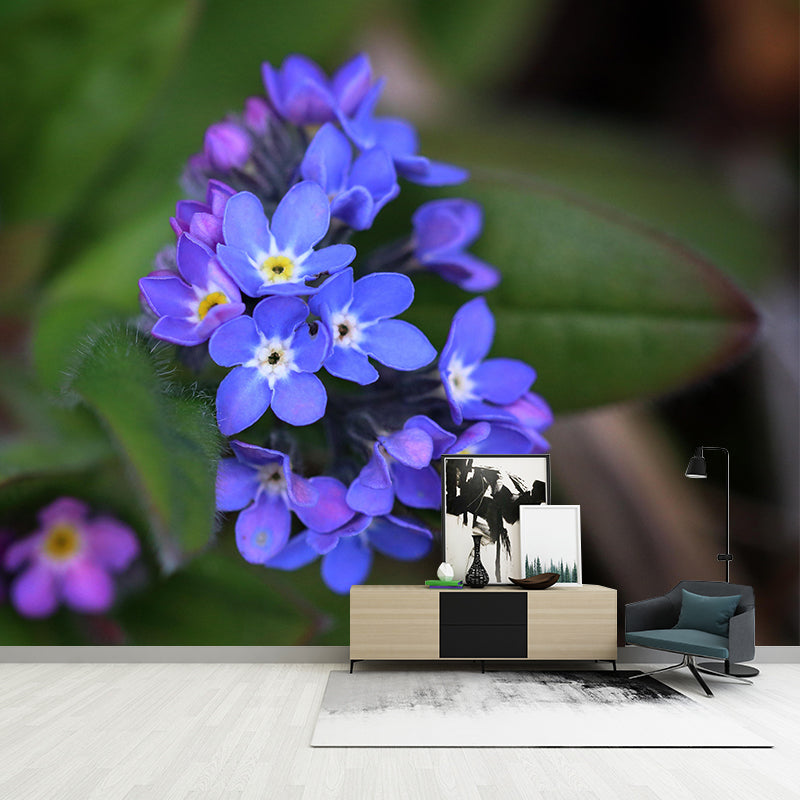 Customized Forget-Me-Not Mural Wall Covering Eco-friendly Wallpaper for Bedroom