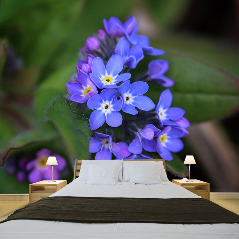 Customized Forget-Me-Not Mural Wall Covering Eco-friendly Wallpaper for Bedroom