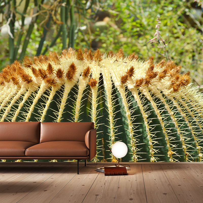 Cactus Plant Murals Wallpaper for Reading Room Bedroom, Custom Size Available