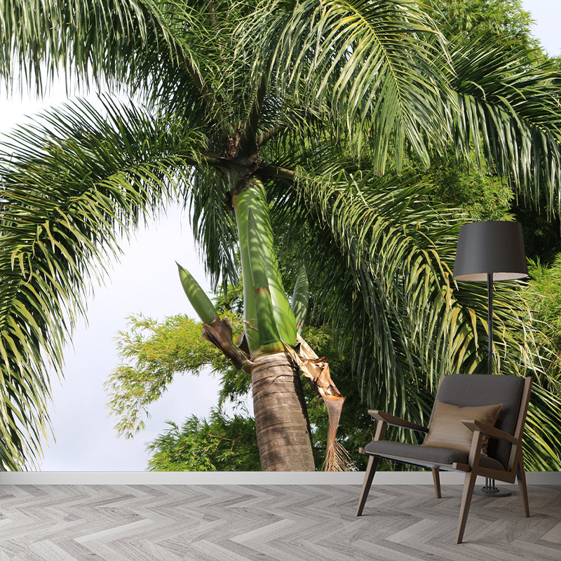Tropical Trees Mural Moisture Resistant Wall Covering for Dining Room, Custom Size Available