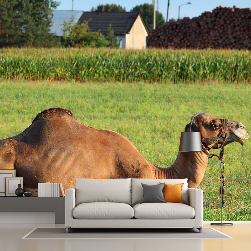 Desert Camel Wallpaper for Bedroom, Waterproofing, Custom Size Available