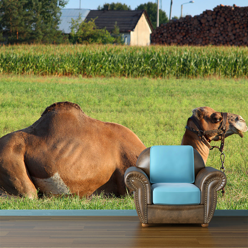 Desert Camel Wallpaper for Bedroom, Waterproofing, Custom Size Available