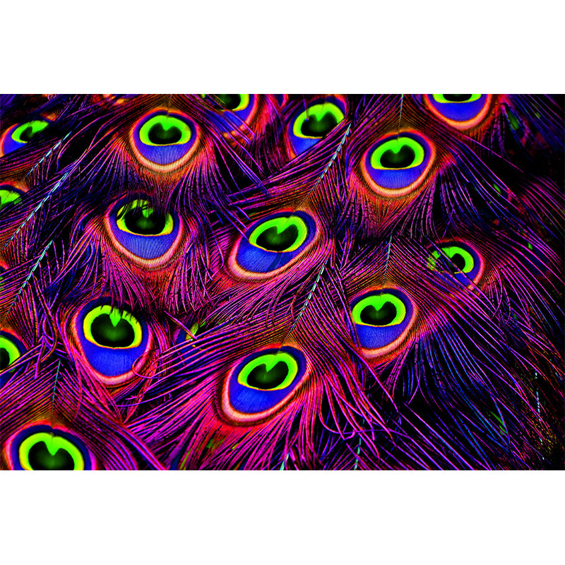 Beautiful Feathers Removable Wall Mural for Sleeping Room, Stain Resistant