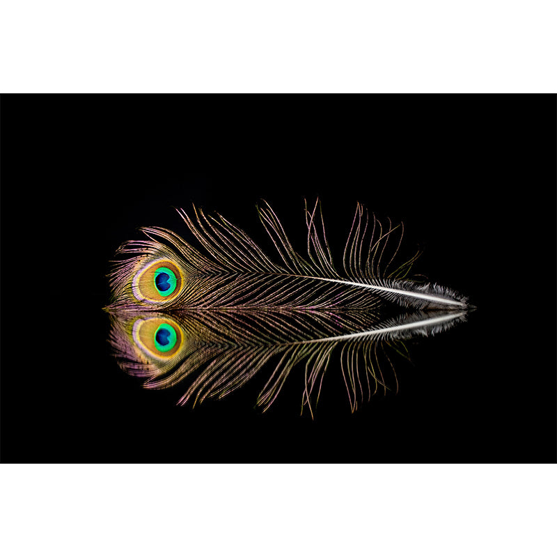 Flying Feathers Mural Wallpaper for Sleeping Room, Mural Wallpaper for