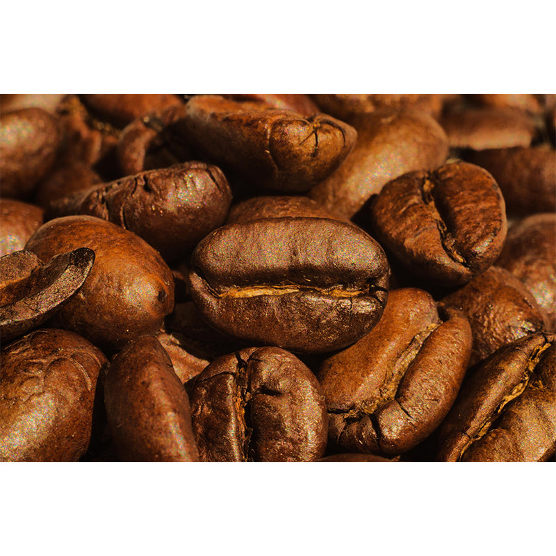 Modern Coffee Shop Wall Decor Coffee Beans Mural Wallpaper, Water Resistant