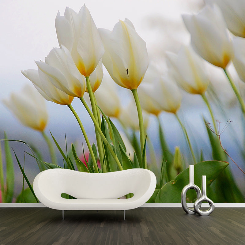 Brightly Colored Tulips Wall Mural Sleeping Room Wall Decor, Customized Size
