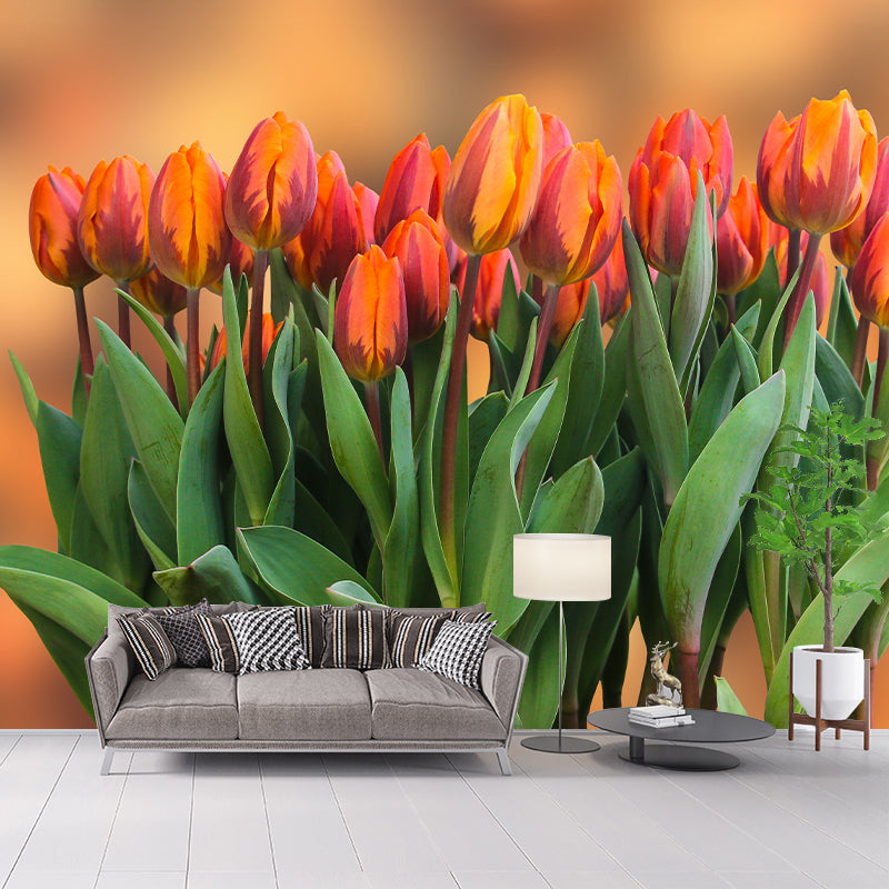 Brightly Colored Tulips Wall Mural Sleeping Room Wall Decor, Customized Size