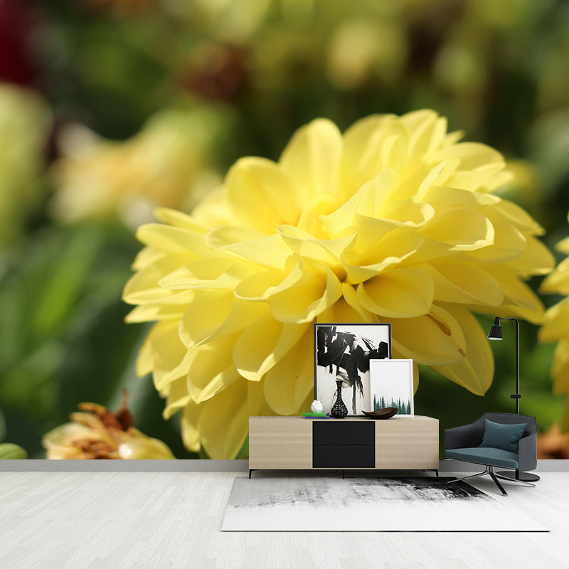 Bright Chrysanthemum Mural for Modern Living Room, Custom Size Available