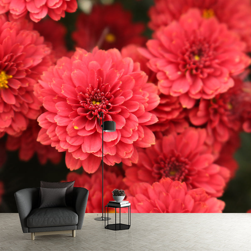 Bright Chrysanthemum Mural for Modern Living Room, Custom Size Available