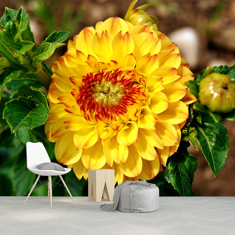 Bright Chrysanthemum Mural for Modern Living Room, Custom Size Available