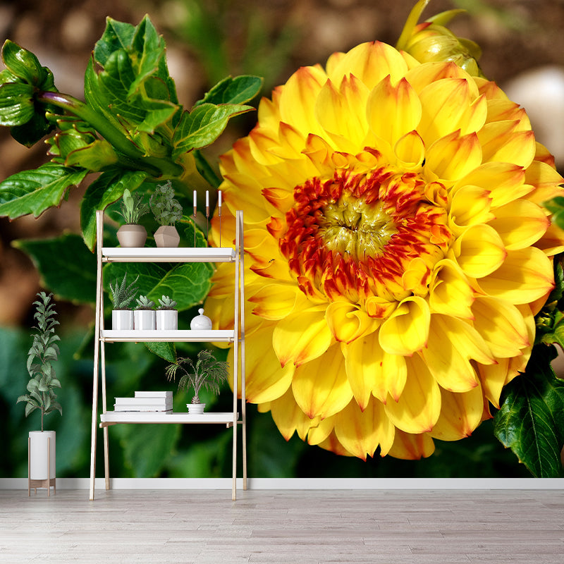 Bright Chrysanthemum Mural for Modern Living Room, Custom Size Available