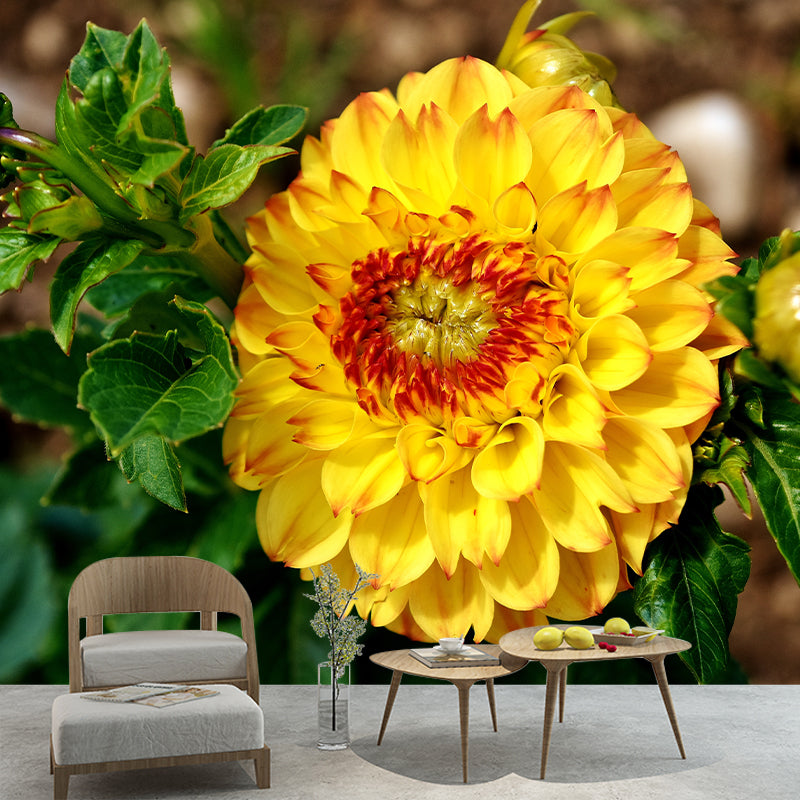 Bright Chrysanthemum Mural for Modern Living Room, Custom Size Available