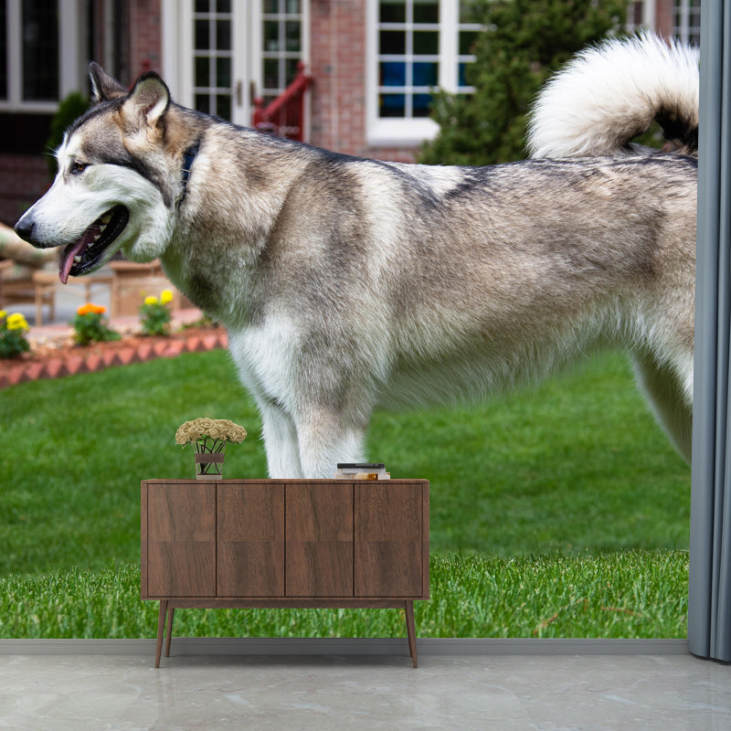 Lovely Alaskan Dog Mural Wall Decor Living Room Wall Covering for Decoration