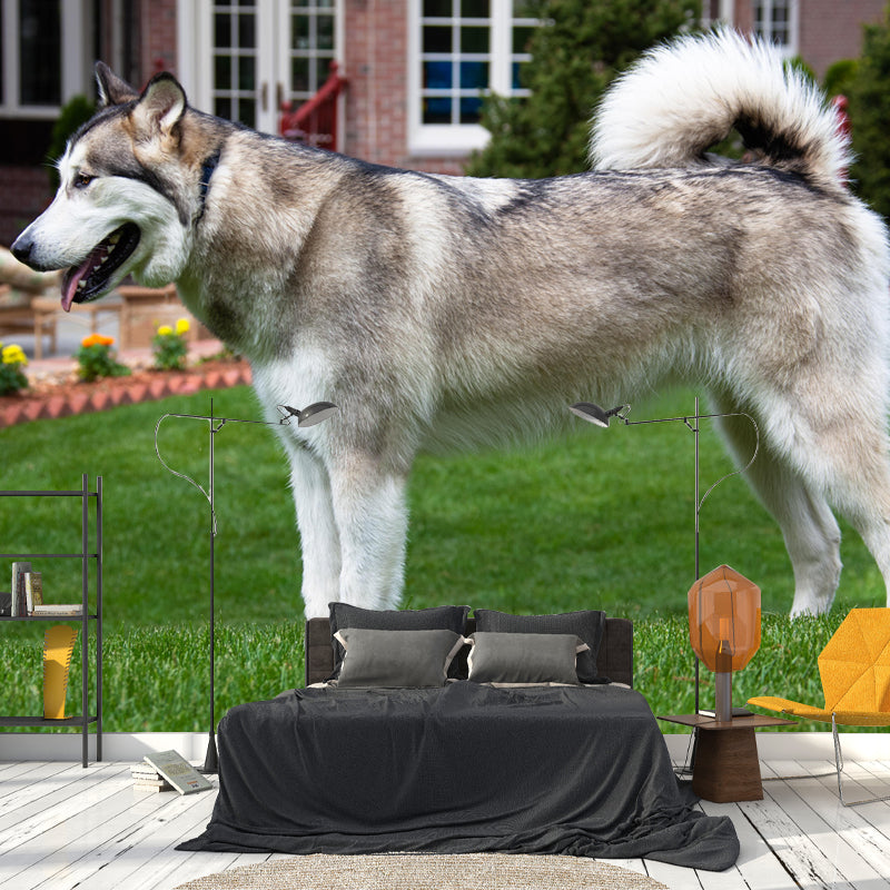 Lovely Alaskan Dog Mural Wall Decor Living Room Wall Covering for Decoration