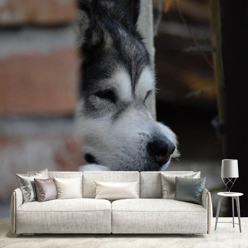 Lovely Alaskan Dog Mural Wall Decor Living Room Wall Covering for Decoration