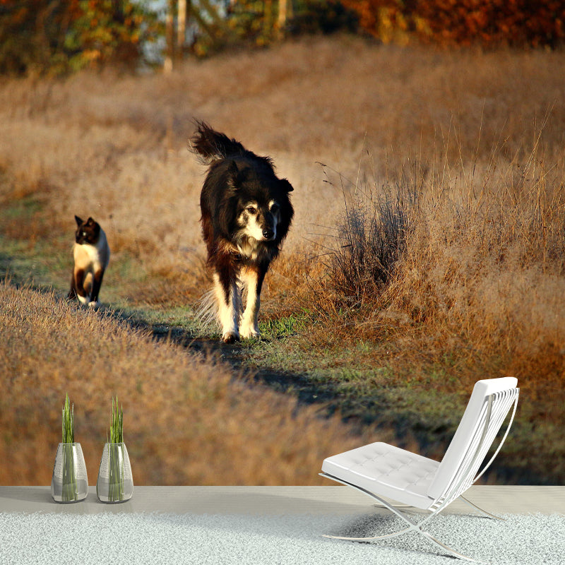 Lovely Border Collie Mural Wall Decor Living Room Wall Covering for Decoration