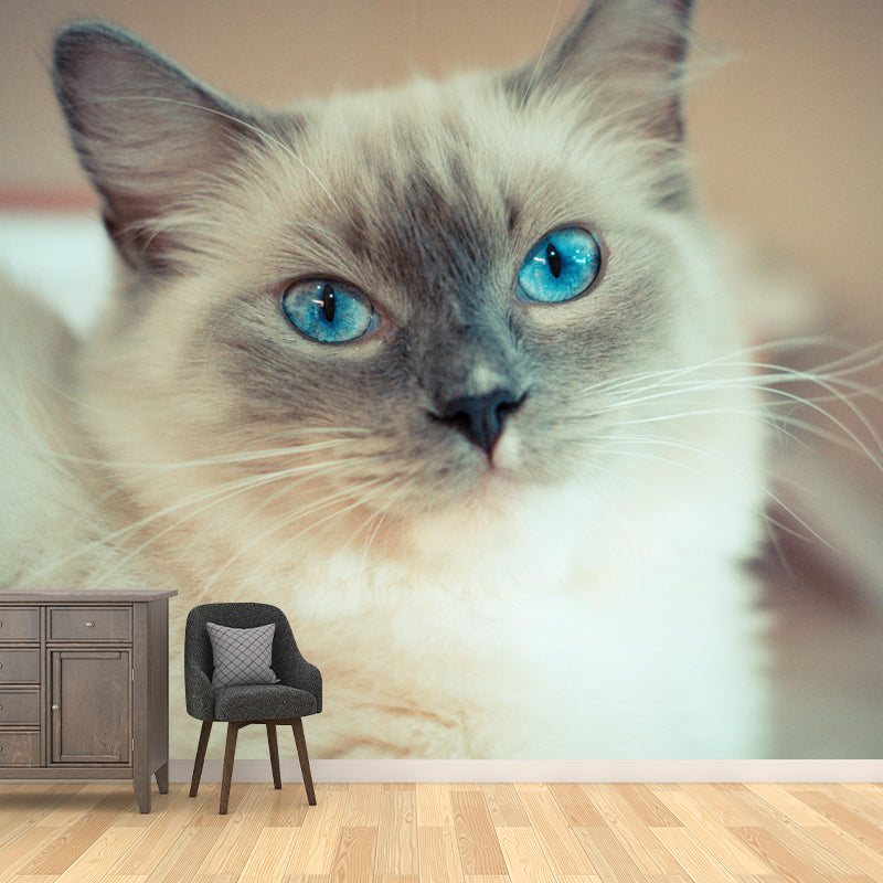 Lovely Cat Mural Wall Decor Living Room Mildew Resistant for Decoration